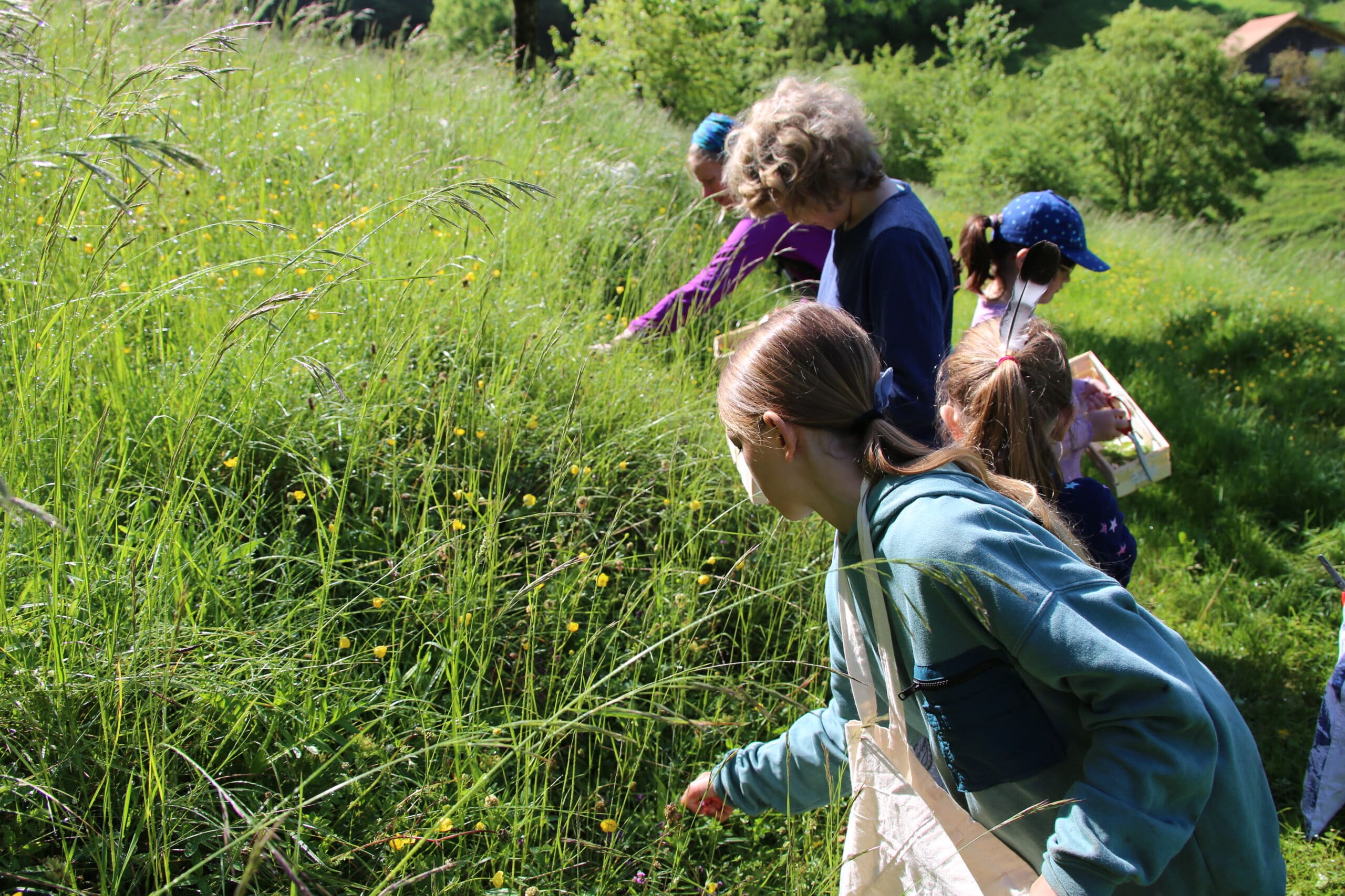école dans les champs L'apprentissage en extérieur au champs